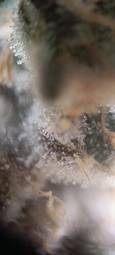 Growreport Bild 11