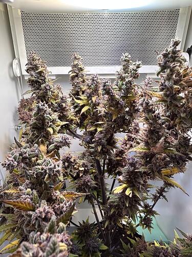 Growreport Bild 4