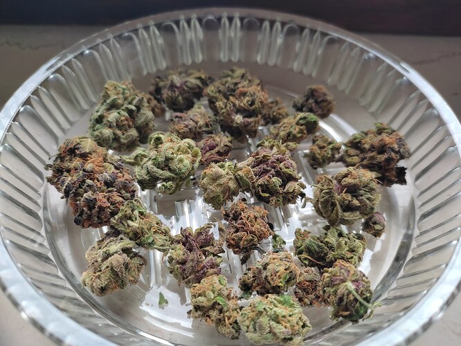 Growreport Bild 22