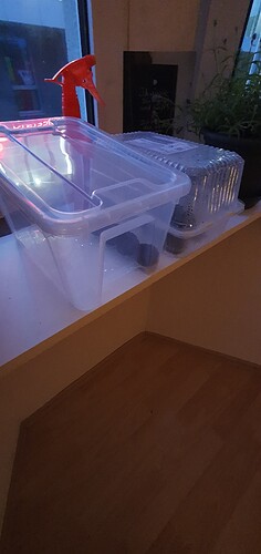 foto_no_exif (9)