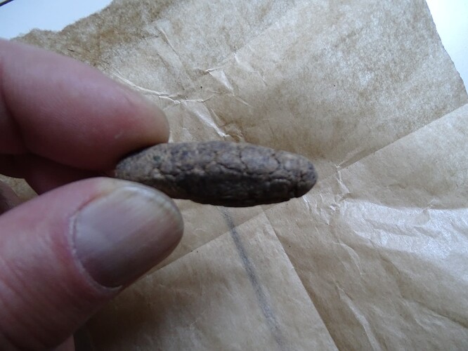 Growreport Bild 12