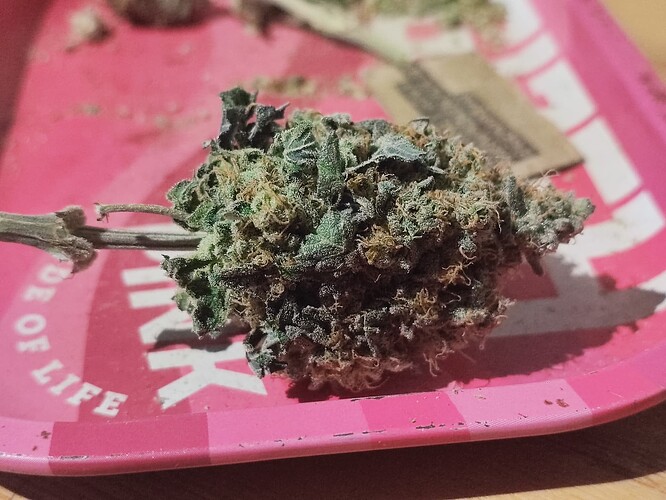 Growreport Bild 27