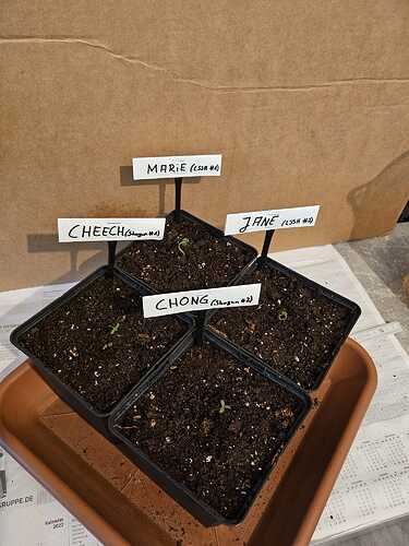 WhatsApp Bild 2024-04-26 um 12.00.49_8c0c7718