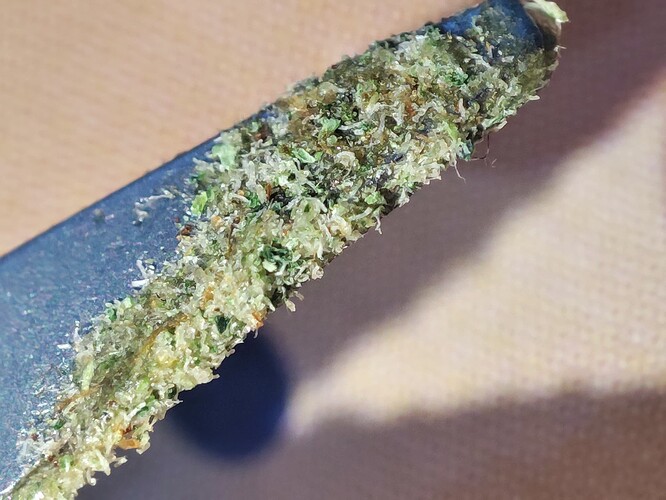 Growreport Bild 9