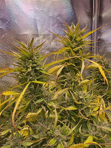 Growreport Bild 16