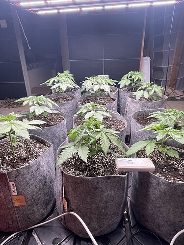 Growreport Bild 16