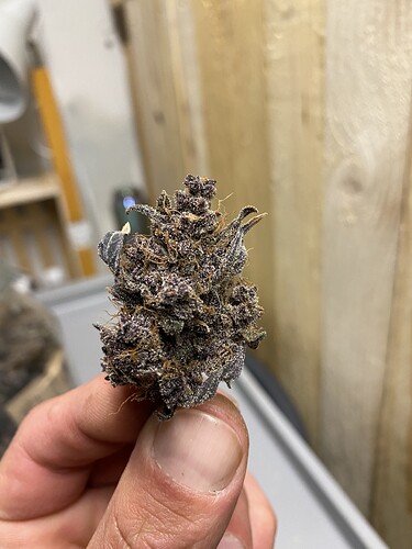 Growreport Bild 18
