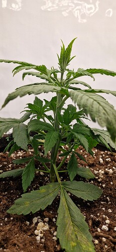 Growreport Bild 19