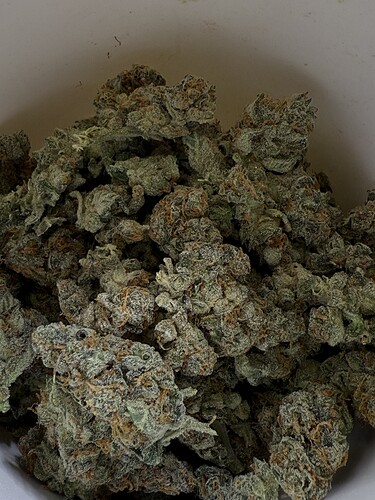 Growreport Bild 9