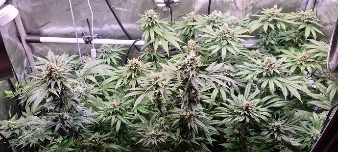 Growreport Bild 22