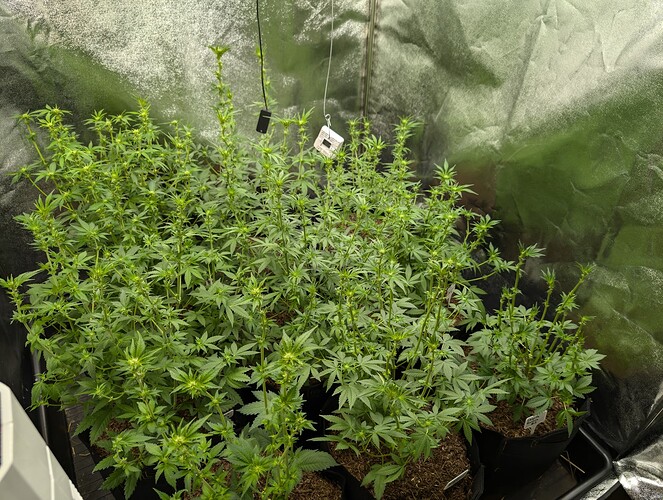 Growreport Bild 4