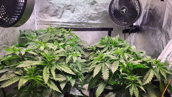 Growreport Bild 1