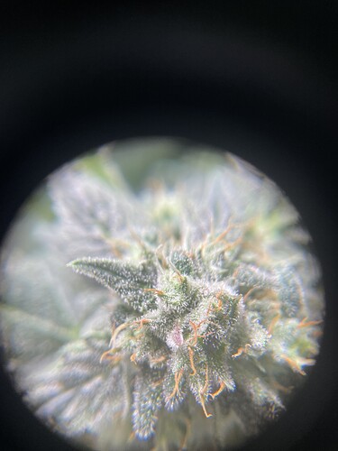 Growreport Bild 9