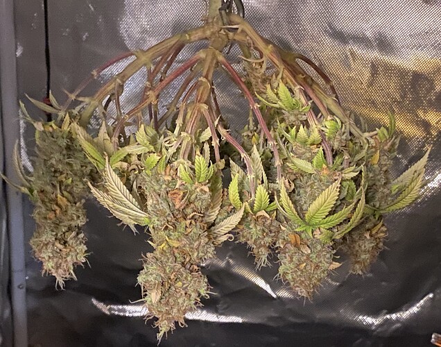 Growreport Bild 4