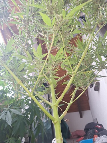 Growreport Bild 5