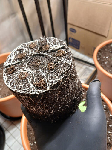 9f174631-e4af-4f84-9d0e-2af18542a1e7-1_all_13988