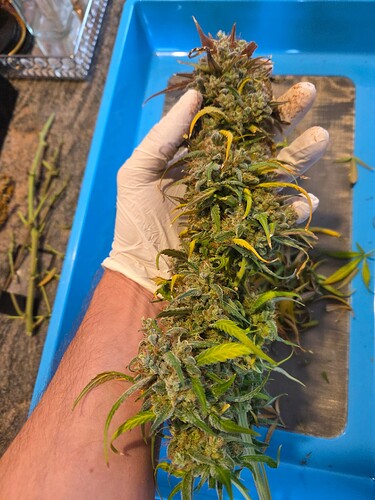 Growreport Bild 9