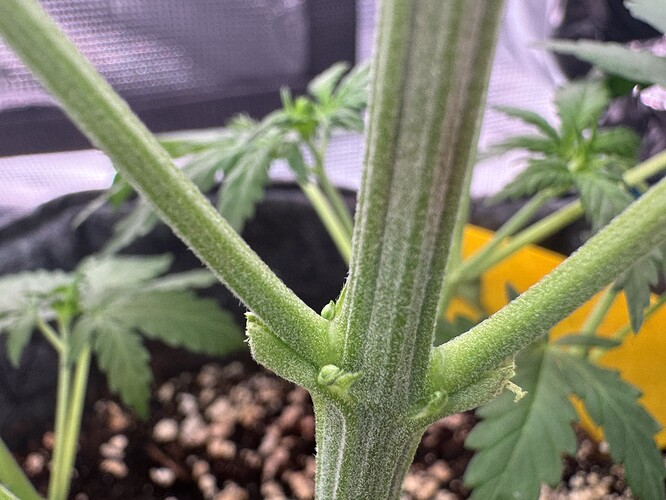 Growreport Bild 9