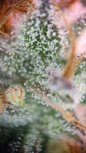 WhatsApp Bild 2024-06-12 um 17.12.29_f93e9532