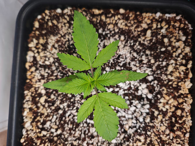 Growreport Bild 15