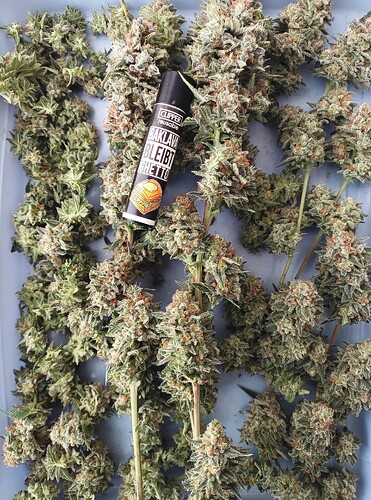 Growreport Bild 21