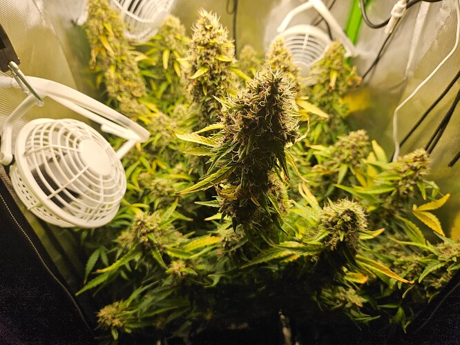 Growreport Bild 2