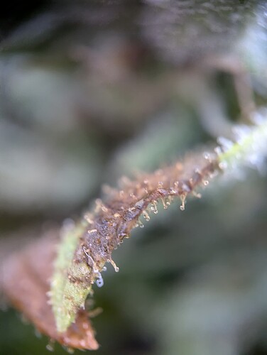 PXL_20240803_114110457