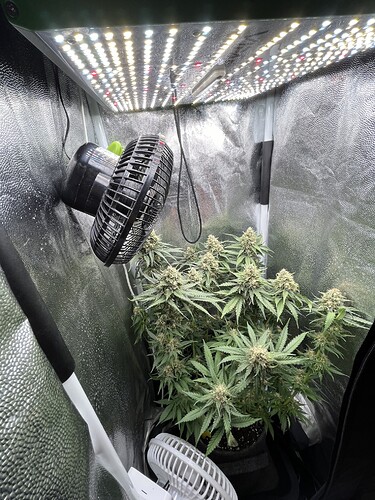 Growreport Bild 1