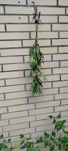 Growreport Bild 4