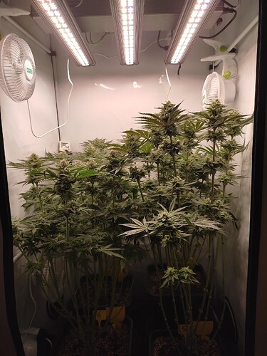 Growreport Bild 10