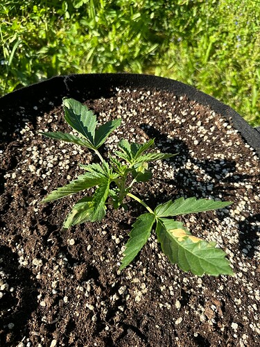 Growreport Bild 9