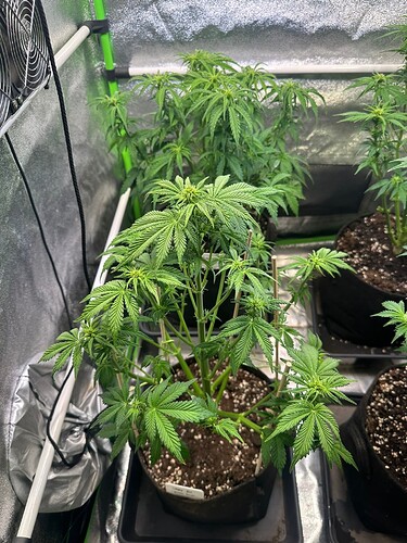 Growreport Bild 13