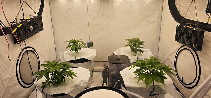 Growreport Bild 37