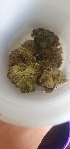 Growreport Bild 7