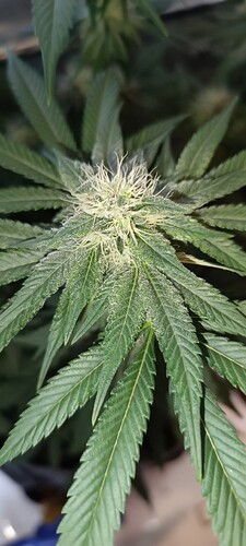 Growreport Bild 3