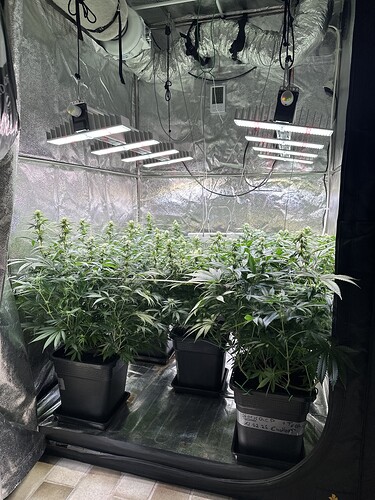 Growreport Bild 22