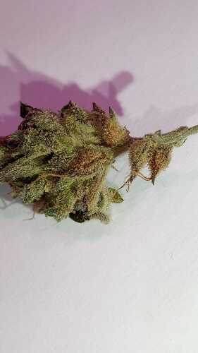 bud2