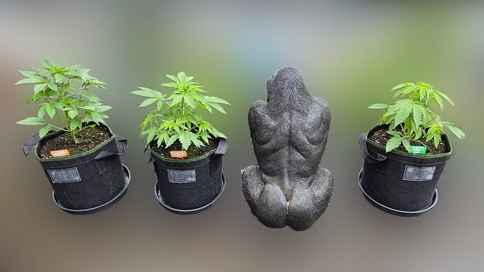 Growreport Bild 5