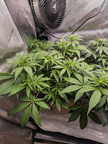 Growreport Bild 3
