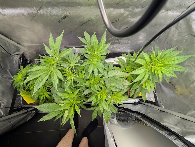 Growreport Bild 6