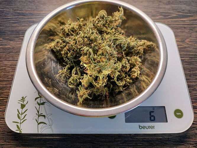 Growreport Bild 11