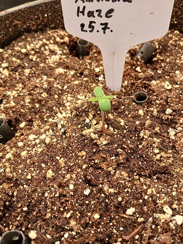 Growreport Bild 4