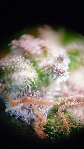 20250126_115703_exported_166~2