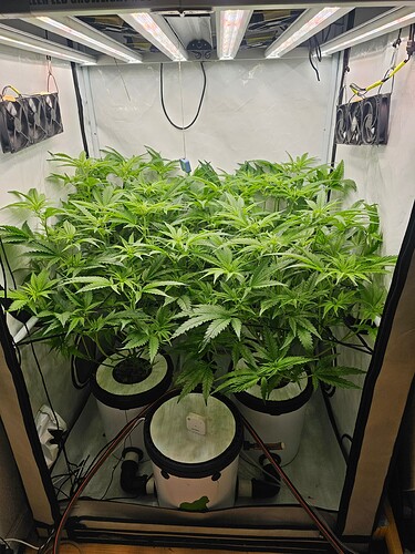Growreport Bild 11