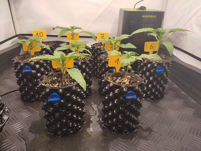 Growreport Bild 4
