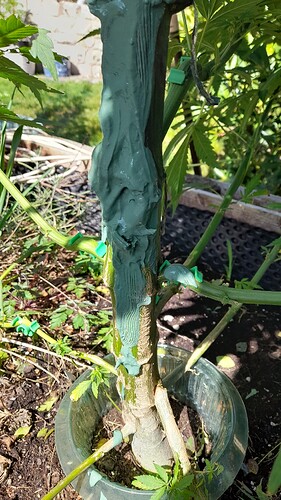 Growreport Bild 2