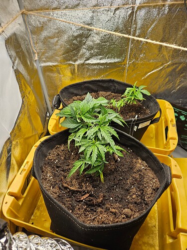 Growreport Bild 14
