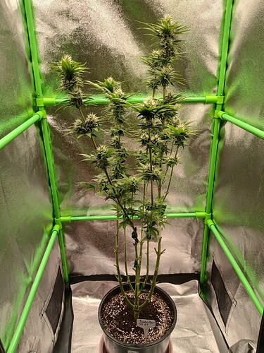 Growreport Bild 8