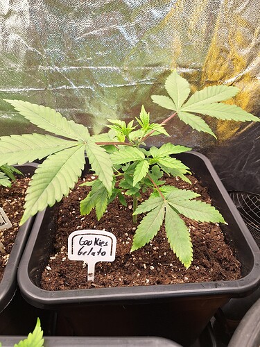 Growreport Bild 15