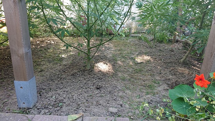 Growreport Bild 44